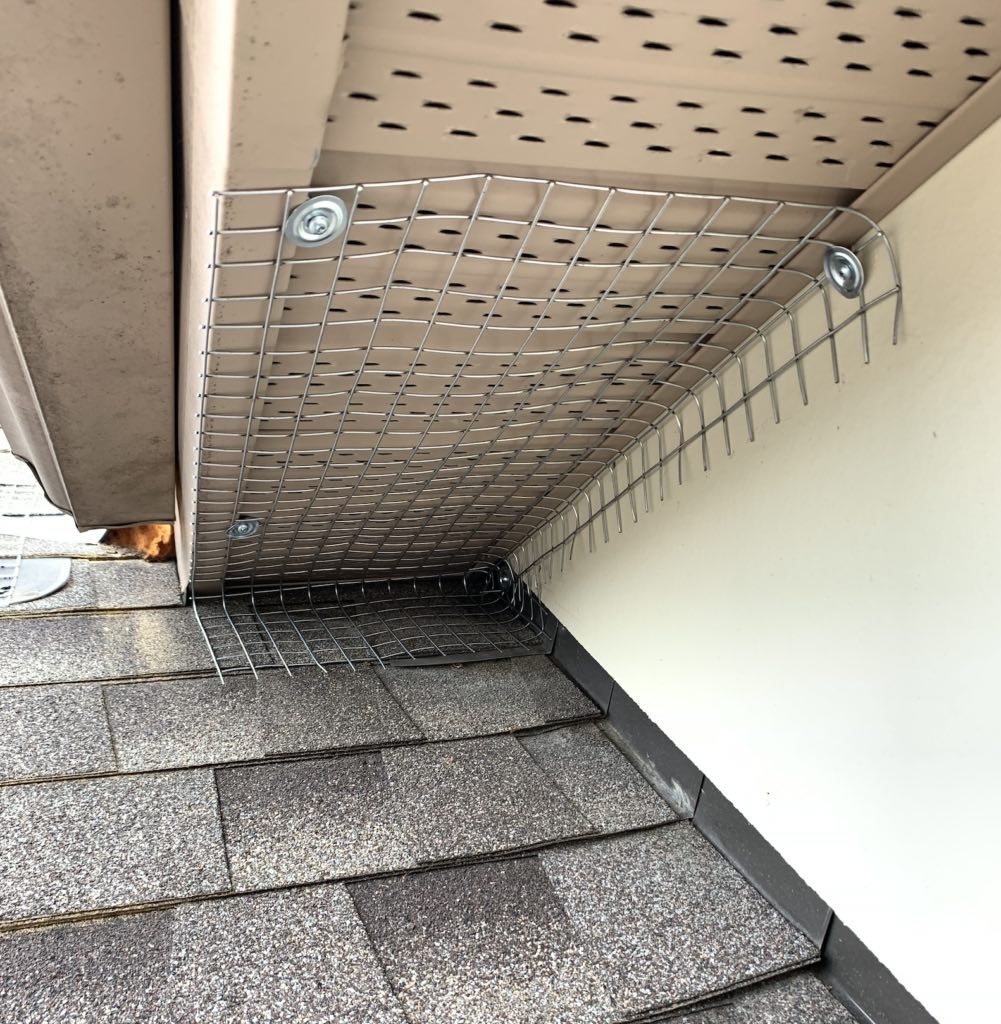 Applying squirrel guard to prevent damage